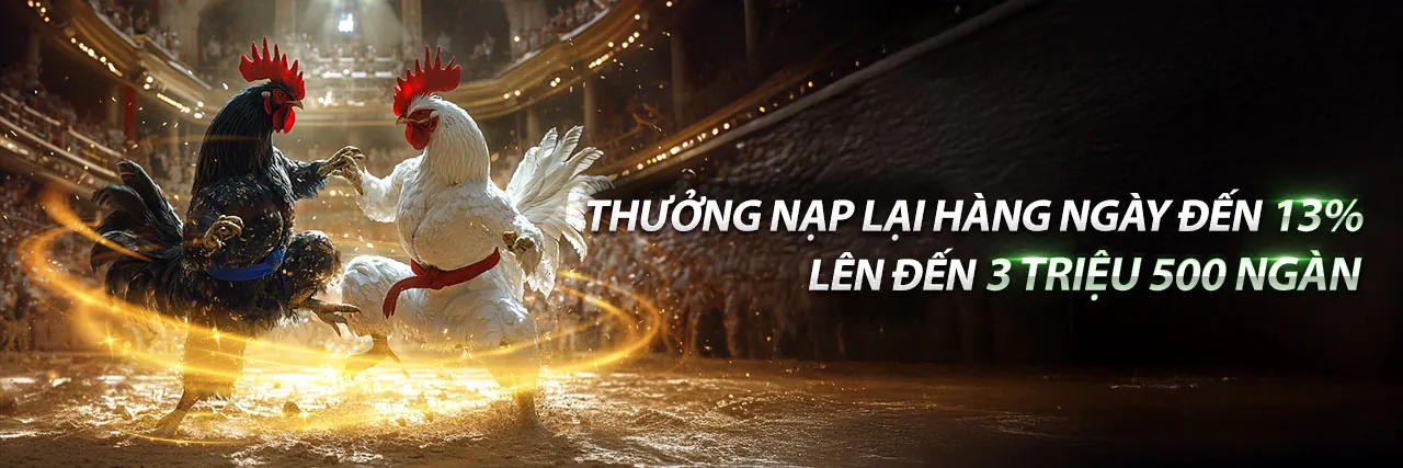 Đá Gà Trực Tiếp Cựa Dao LK1 - Sân đấu đầy kịch tính